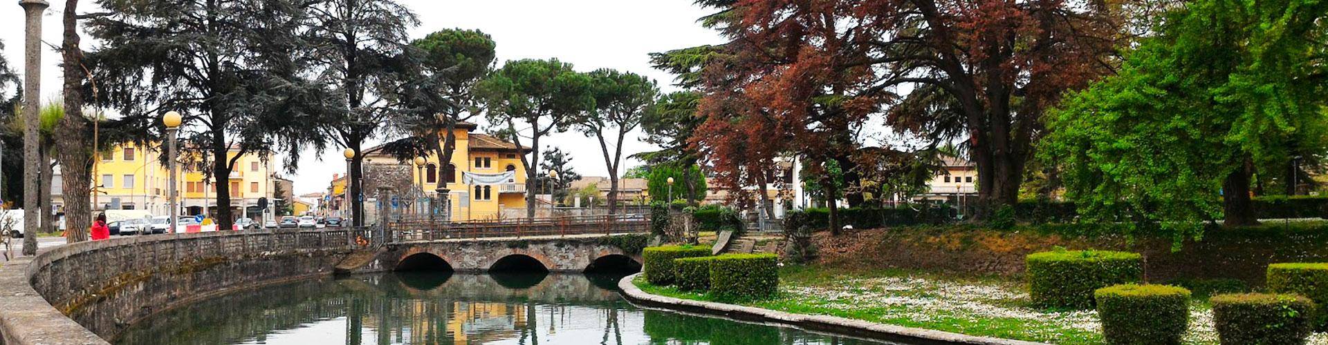 La verde faccia di Zevio